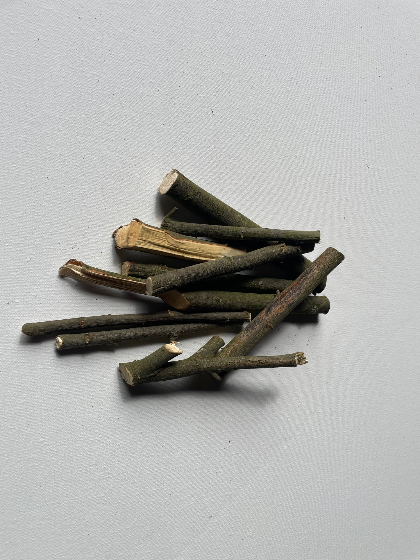 Willow Gnaw Sticks