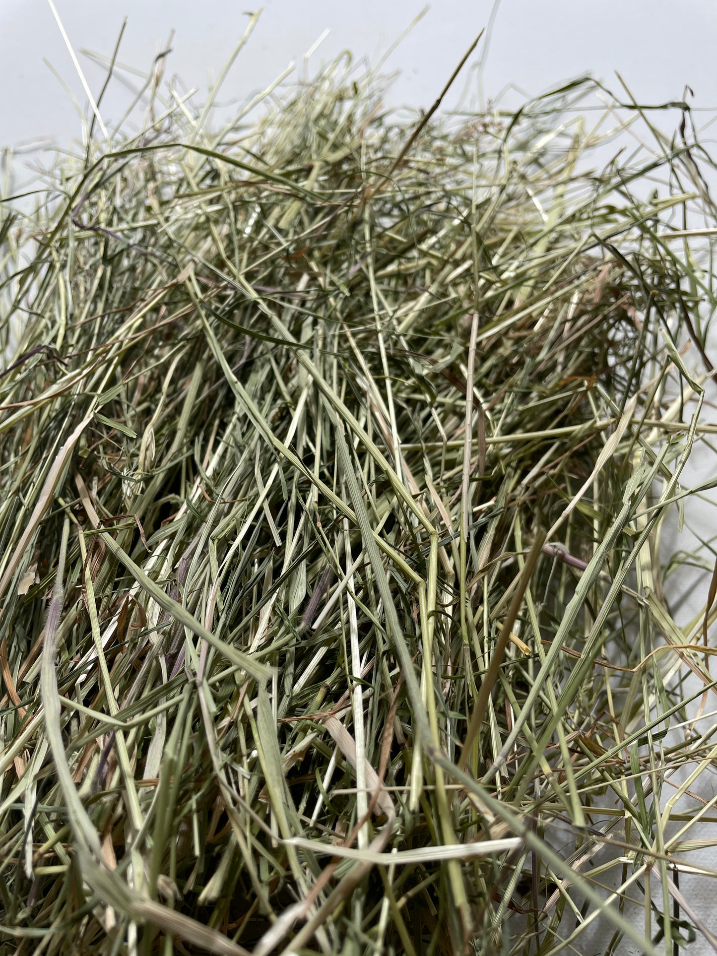 Mixed Meadow Hay Box