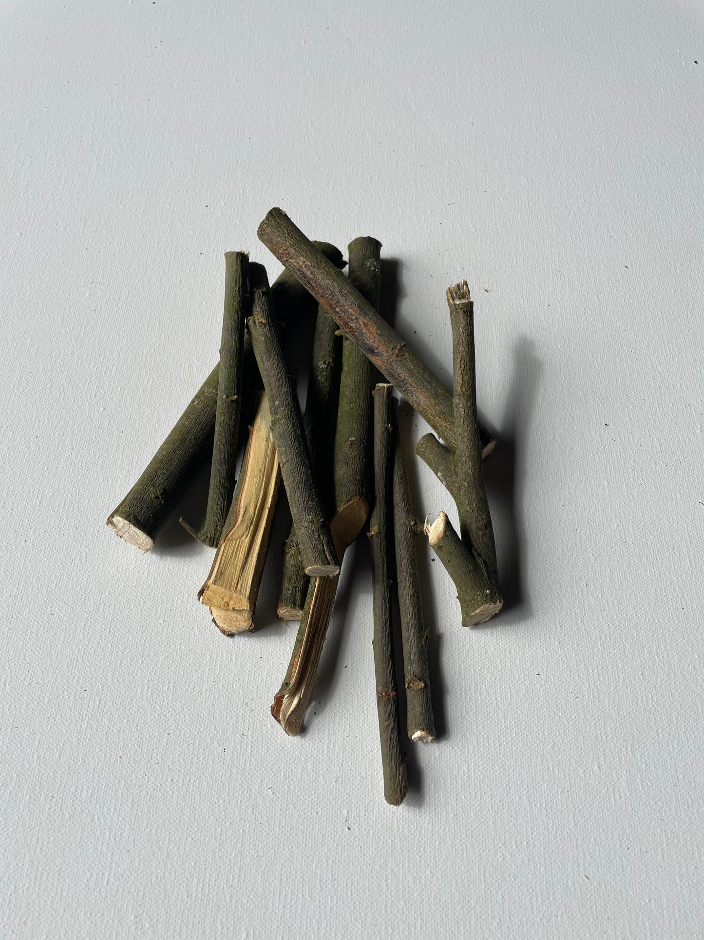 Willow Gnaw Sticks