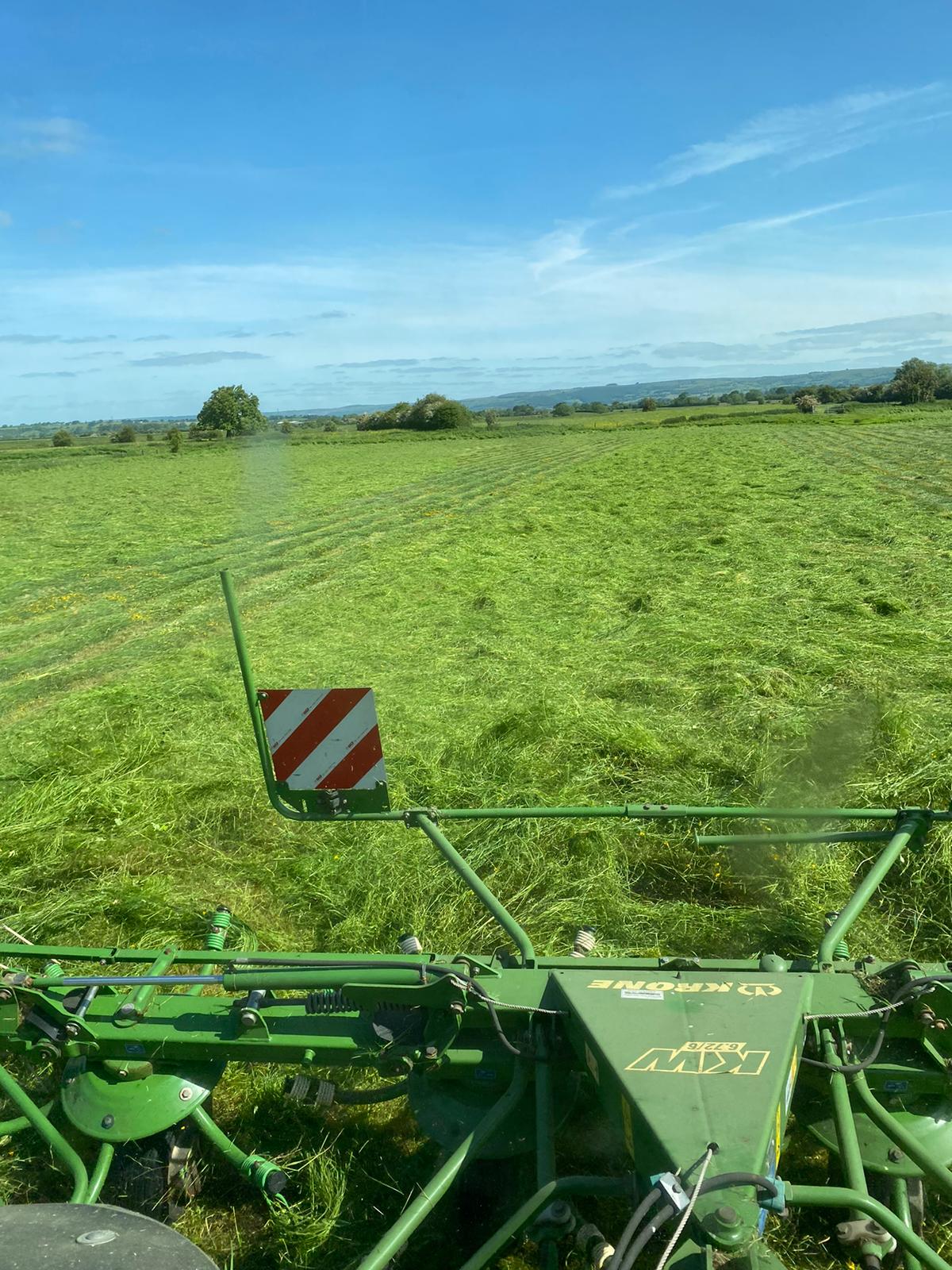Soft Timothy Blend Hay Box