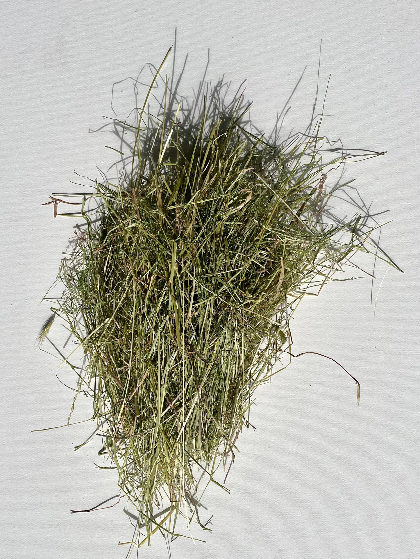 Mixed Meadow Hay Box