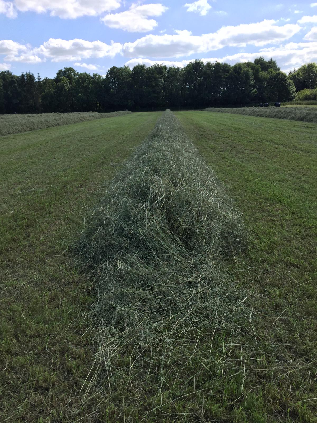Mixed Meadow Hay Box